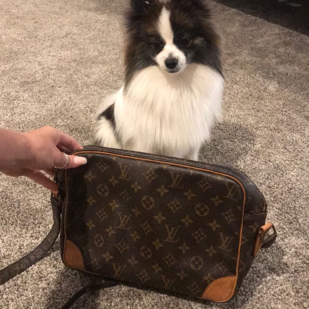 Louis Vuitton shoulder bag